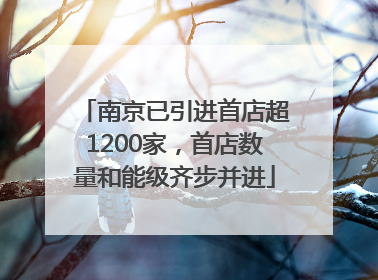 南京已引进首店超1200家，首店数量和能级齐步并进