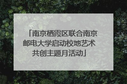 南京栖霞区联合南京邮电大学启动校地艺术共创主题月活动