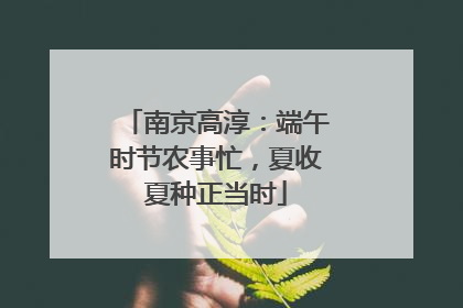 南京高淳：端午时节农事忙，夏收夏种正当时