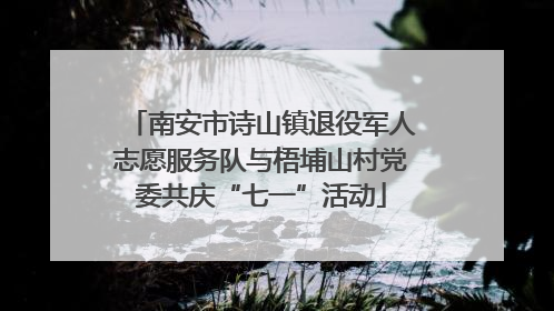南安市诗山镇退役军人志愿服务队与梧埔山村党委共庆“七一”活动