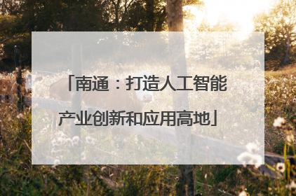 南通：打造人工智能产业创新和应用高地