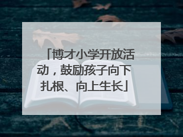 博才小学开放活动，鼓励孩子向下扎根、向上生长