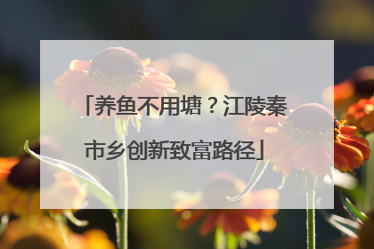 养鱼不用塘？江陵秦市乡创新致富路径
