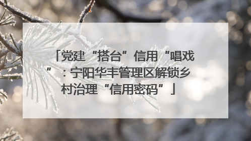 党建“搭台”信用“唱戏”：宁阳华丰管理区解锁乡村治理“信用密码”