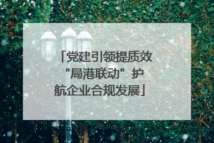 党建引领提质效 “局港联动”护航企业合规发展