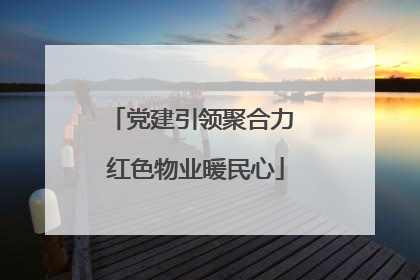 党建引领聚合力 红色物业暖民心