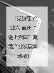 党旗红 产业兴 宿迁“链上党建”激活产业发展新动能