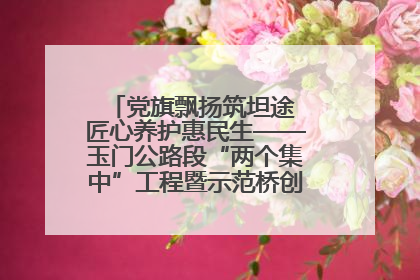 党旗飘扬筑坦途 匠心养护惠民生——玉门公路段“两个集中”工程暨示范桥创建项目圆满收官