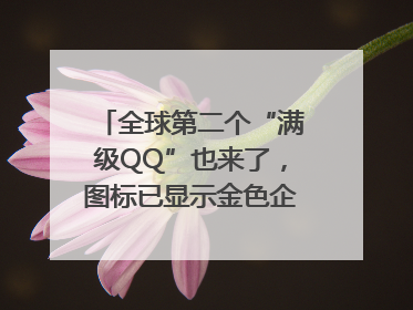 全球第二个“满级QQ”也来了，图标已显示金色企鹅，系首个“满级QQ”的小号