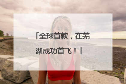 全球首款，在芜湖成功首飞！