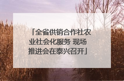 全省供销合作社农业社会化服务 现场推进会在泰兴召开