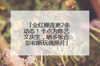 全红婵连更2条动态！卡点为陈艺文庆生，晒多张合影和新玩偶照片