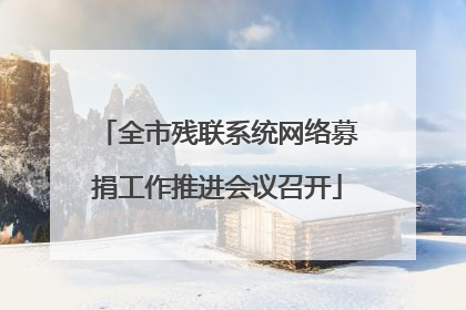 全市残联系统网络募捐工作推进会议召开