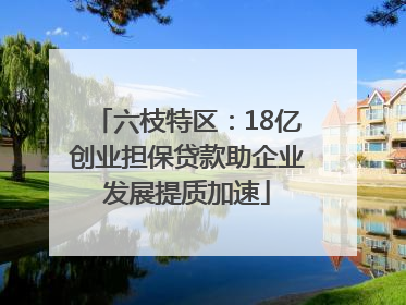 六枝特区：18亿创业担保贷款助企业发展提质加速