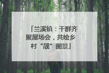 兰溪镇：干群齐聚屋场会，共绘乡村“靓”图景