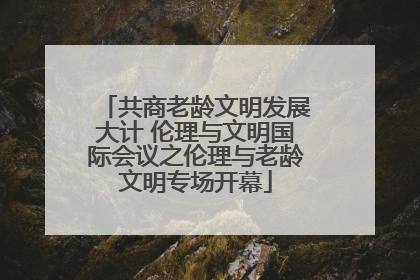 共商老龄文明发展大计 伦理与文明国际会议之伦理与老龄文明专场开幕