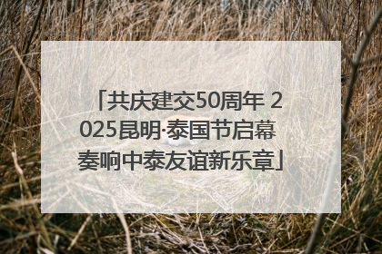 共庆建交50周年 2025昆明·泰国节启幕 奏响中泰友谊新乐章