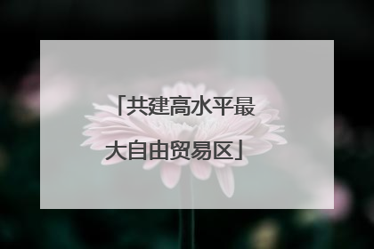 共建高水平最大自由贸易区