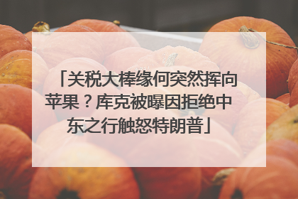 关税大棒缘何突然挥向苹果？库克被曝因拒绝中东之行触怒特朗普