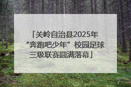 关岭自治县2025年“奔跑吧少年”校园足球三级联赛圆满落幕