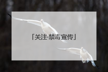 关注·禁毒宣传