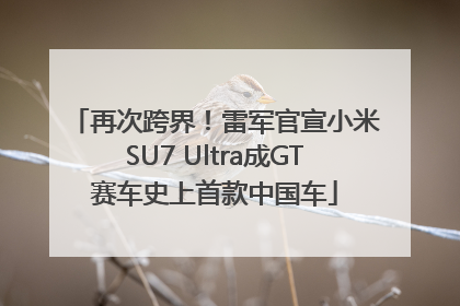 再次跨界！雷军官宣小米SU7 Ultra成GT赛车史上首款中国车