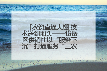 农资直通大棚 技术送到地头——岱岳区供销社以“服务下沉”打通服务“三农”最后一公里