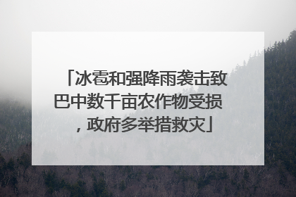 冰雹和强降雨袭击致巴中数千亩农作物受损，政府多举措救灾