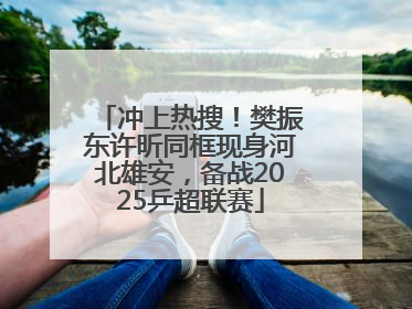 冲上热搜！樊振东许昕同框现身河北雄安，备战2025乒超联赛
