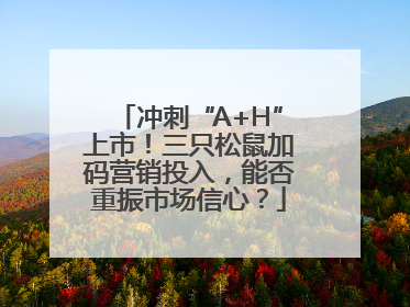 冲刺“A+H”上市！三只松鼠加码营销投入，能否重振市场信心？