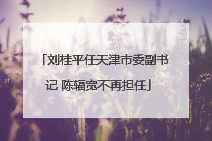 刘桂平任天津市委副书记 陈辐宽不再担任