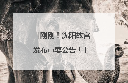 刚刚！沈阳故宫发布重要公告！