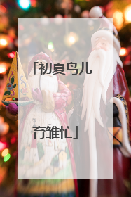 初夏鸟儿育雏忙