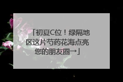 初夏C位！绿隔地区这片芍药花海点亮您的朋友圈→