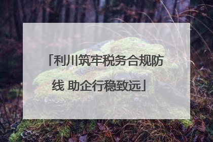 利川筑牢税务合规防线 助企行稳致远