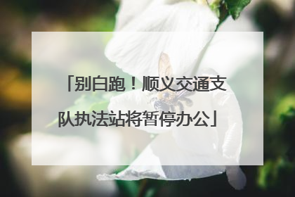 别白跑！顺义交通支队执法站将暂停办公