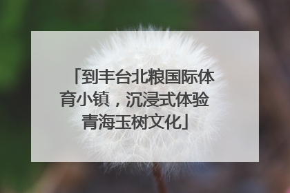 到丰台北粮国际体育小镇，沉浸式体验青海玉树文化