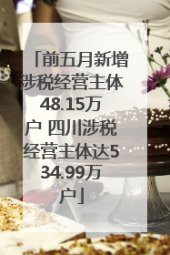 前五月新增涉税经营主体48.15万户 四川涉税经营主体达534.99万户