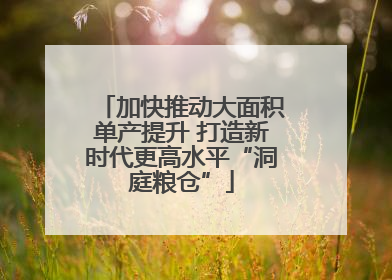 加快推动大面积单产提升 打造新时代更高水平“洞庭粮仓”