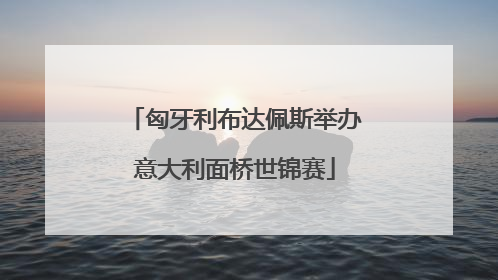 匈牙利布达佩斯举办意大利面桥世锦赛
