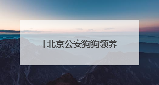 北京公安狗狗领养文案“火出圈”！心动之后，如何行动？我们打听了