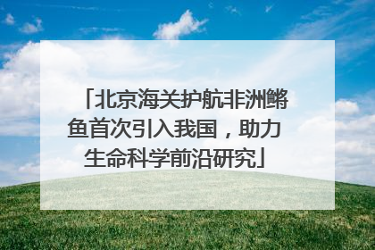 北京海关护航非洲鳉鱼首次引入我国，助力生命科学前沿研究