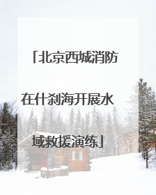 北京西城消防在什刹海开展水域救援演练