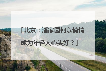 北京：潘家园何以悄悄成为年轻人心头好？