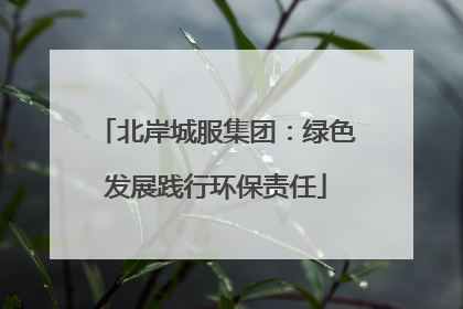 北岸城服集团：绿色发展践行环保责任