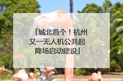 城北首个！杭州又一无人机公共起降场启动建设