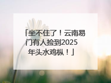 坐不住了！云南易门有人捡到2025年头水鸡枞！