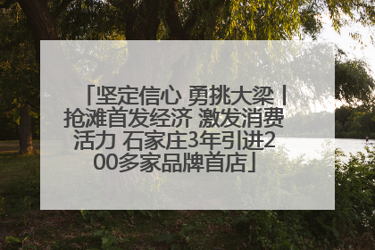 坚定信心 勇挑大梁丨抢滩首发经济 激发消费活力 石家庄3年引进200多家品牌首店