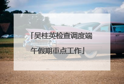 吴桂英检查调度端午假期重点工作