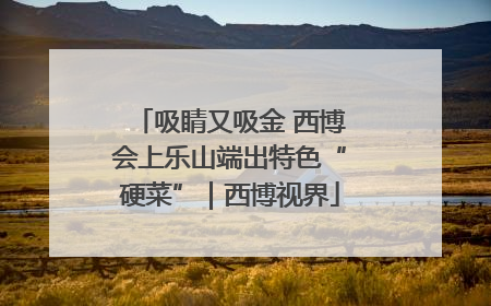 吸睛又吸金 西博会上乐山端出特色“硬菜”｜西博视界